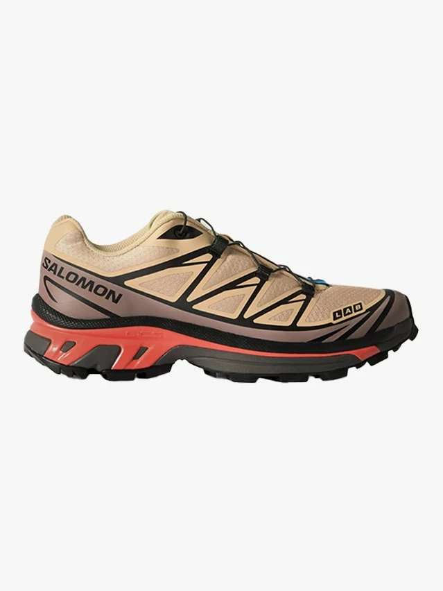 Salomon11