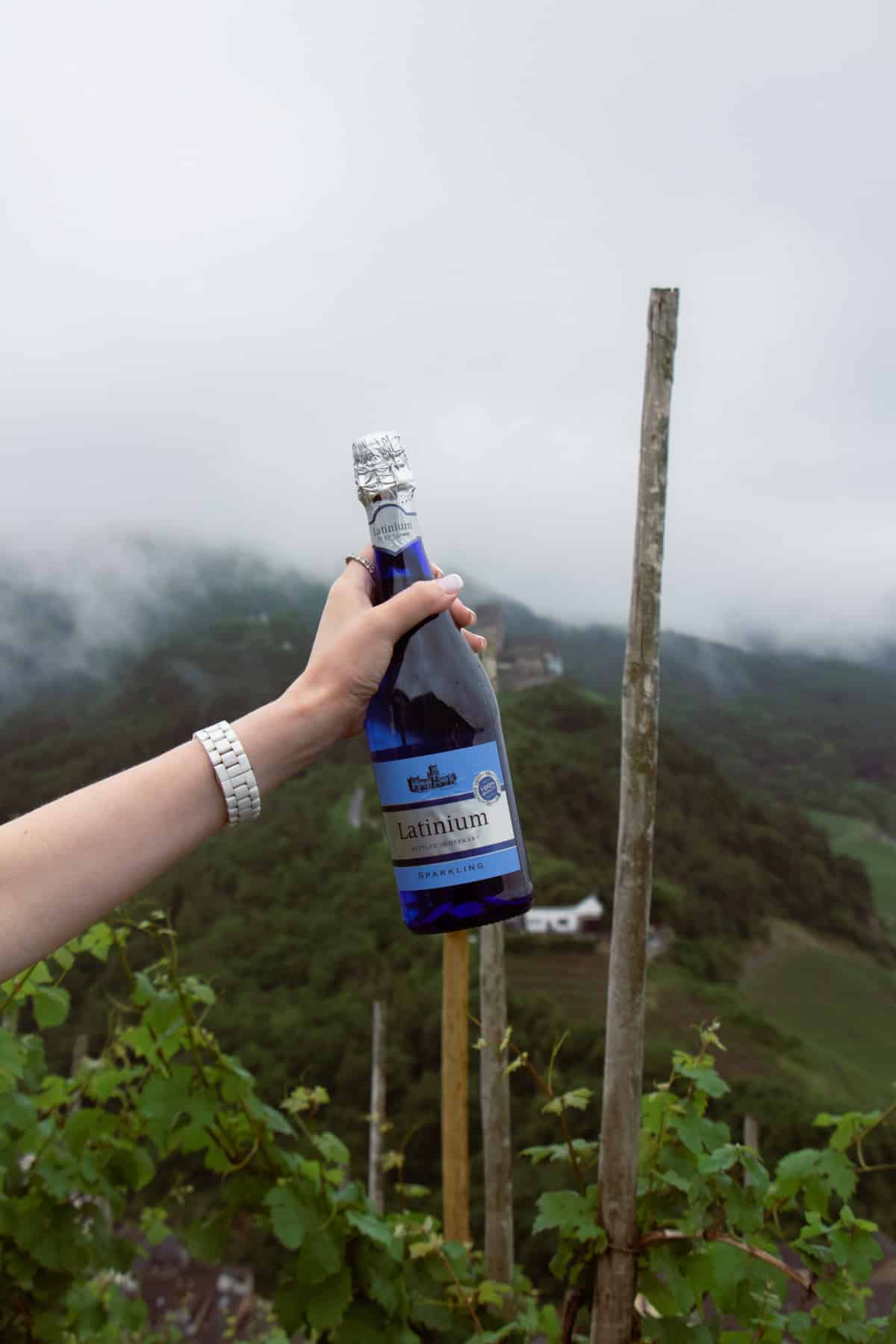 Виноробні Німеччини13