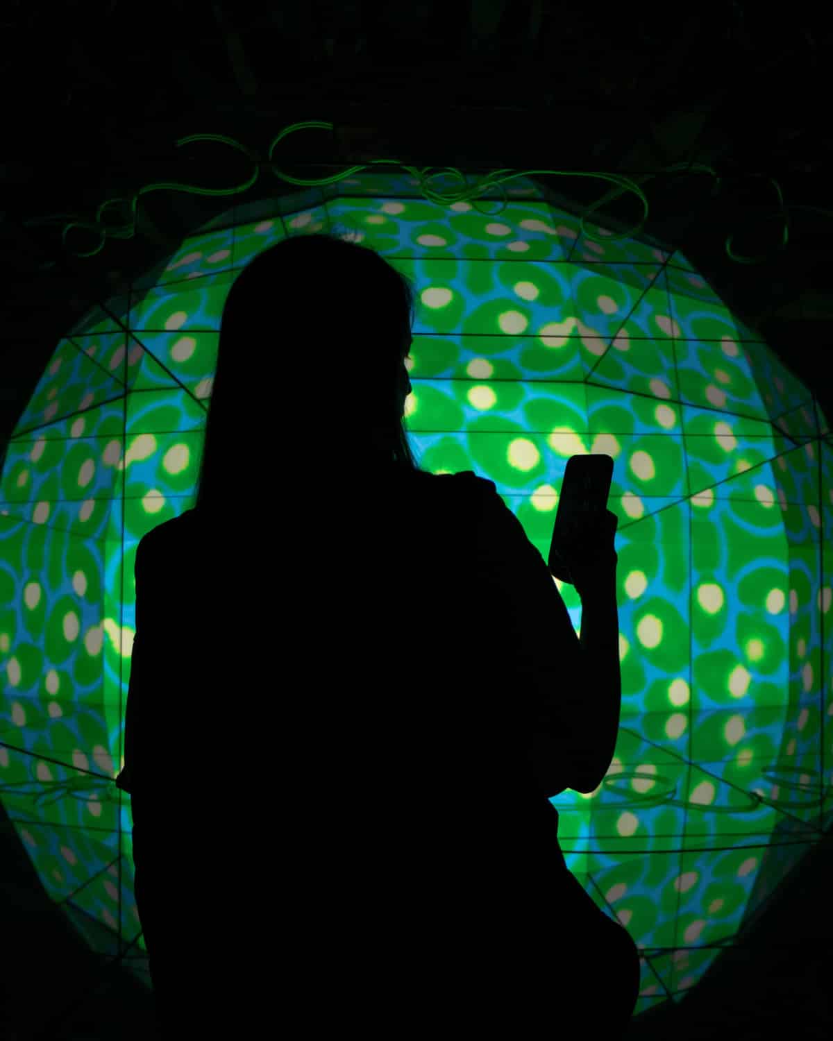 Виноробні Німеччини7