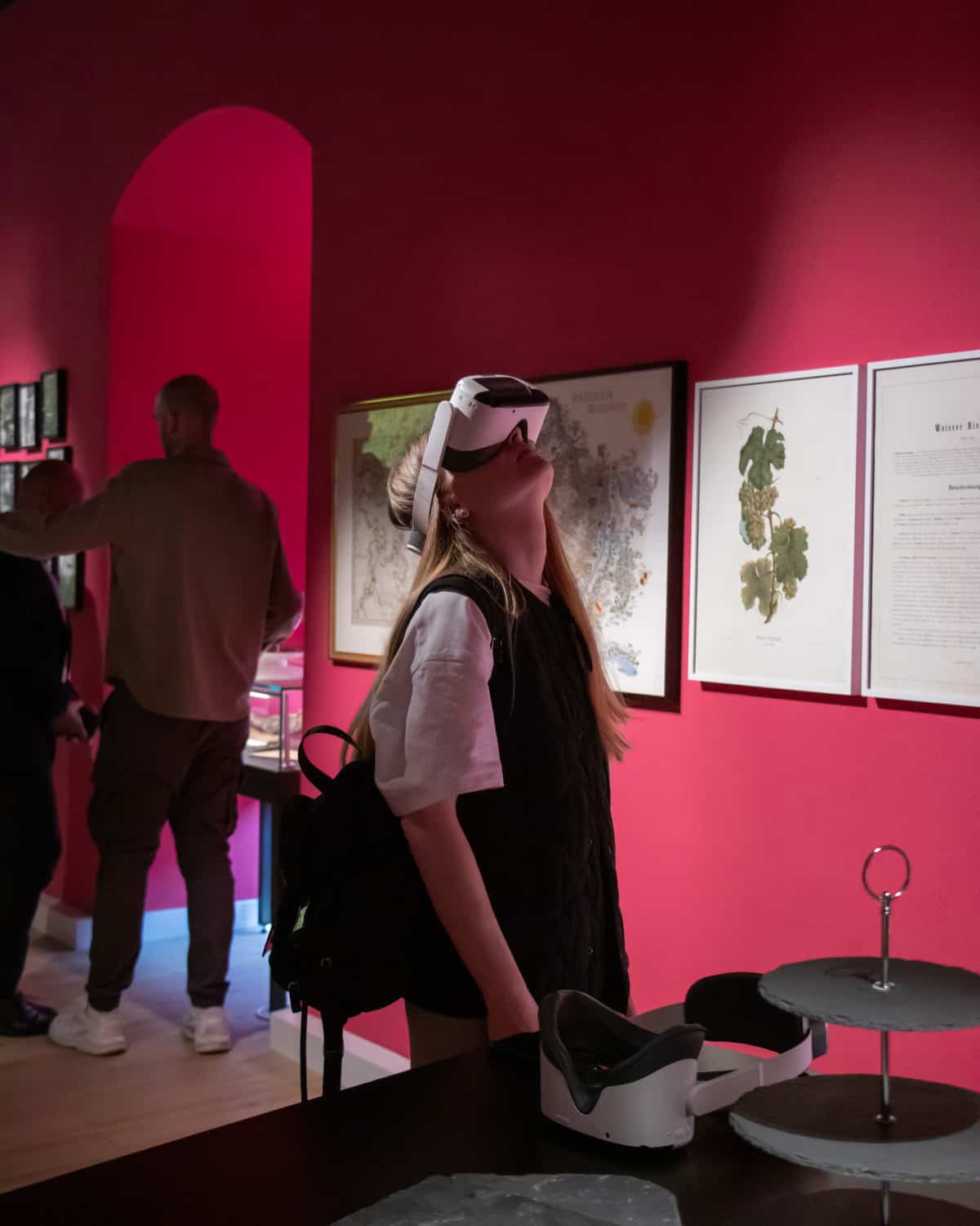 Виноробні Німеччини6