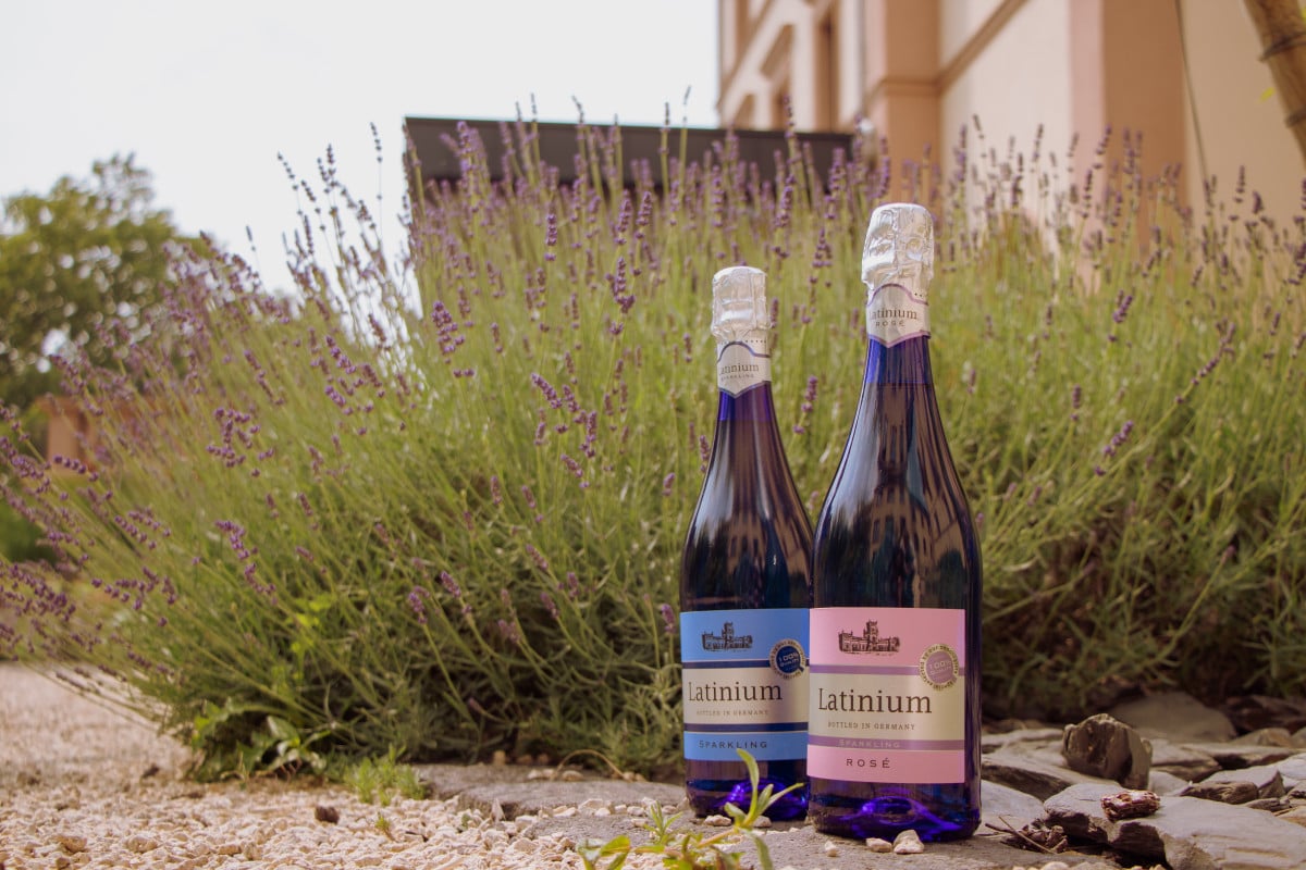 Виноробні Німеччини29