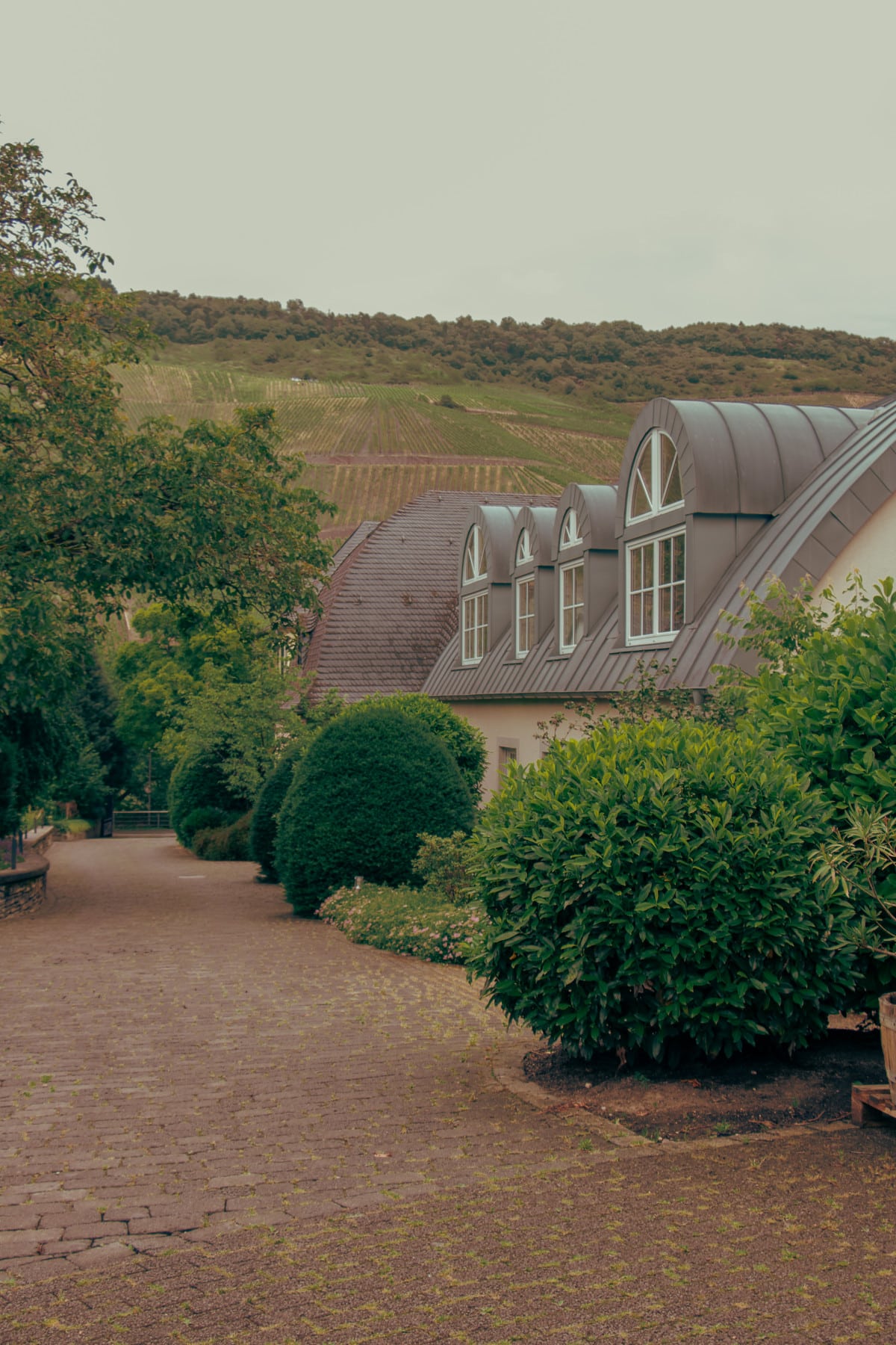 Виноробні Німеччини20