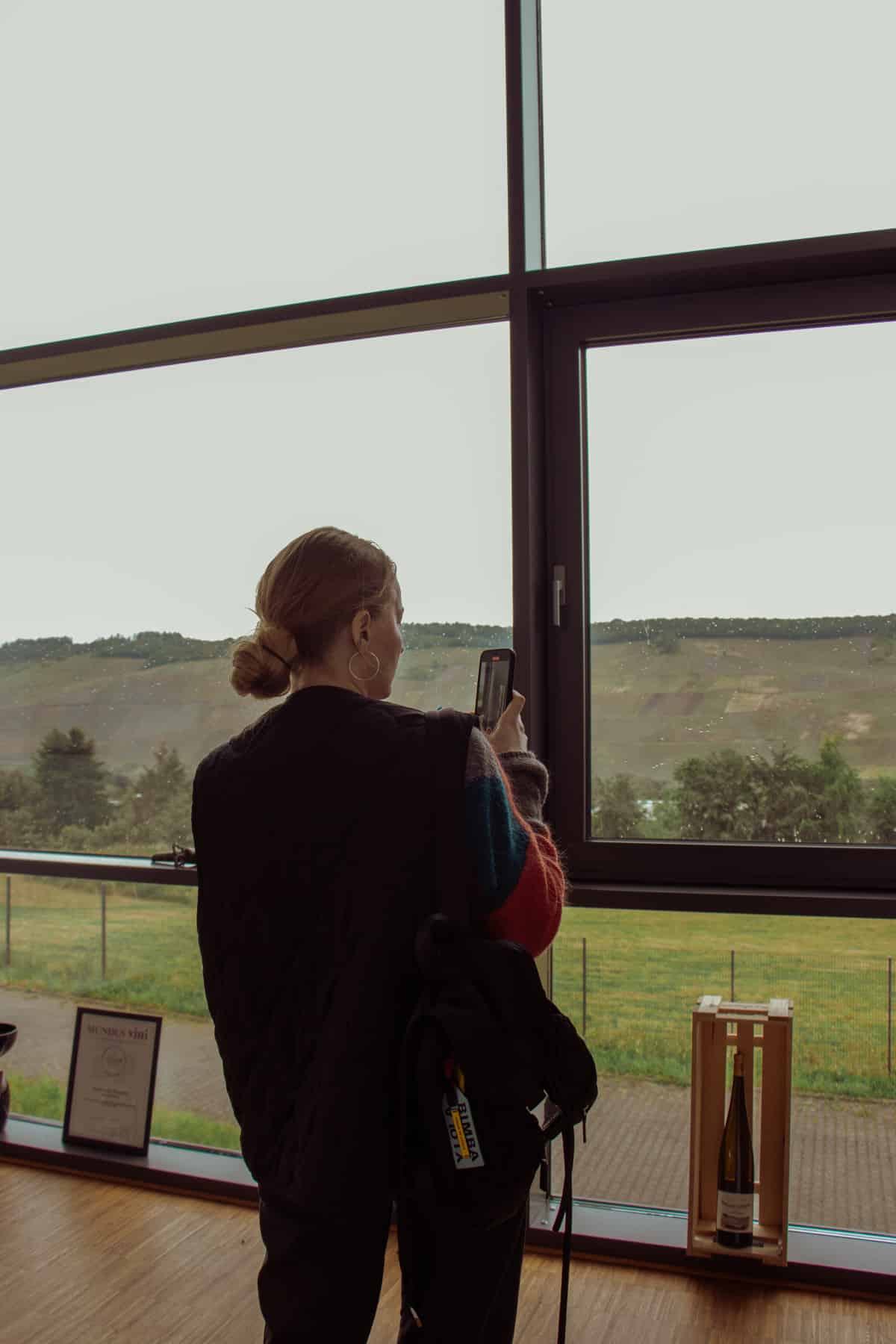 Виноробні Німеччини19