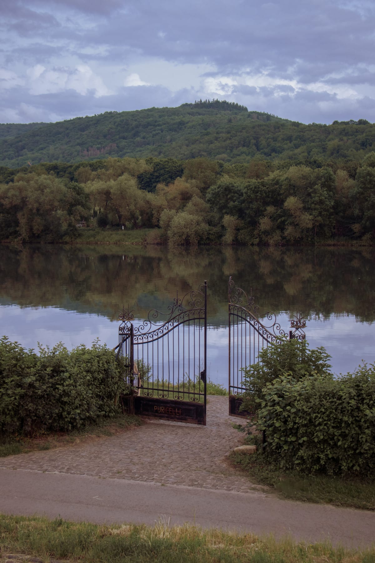 Виноробні Німеччини24