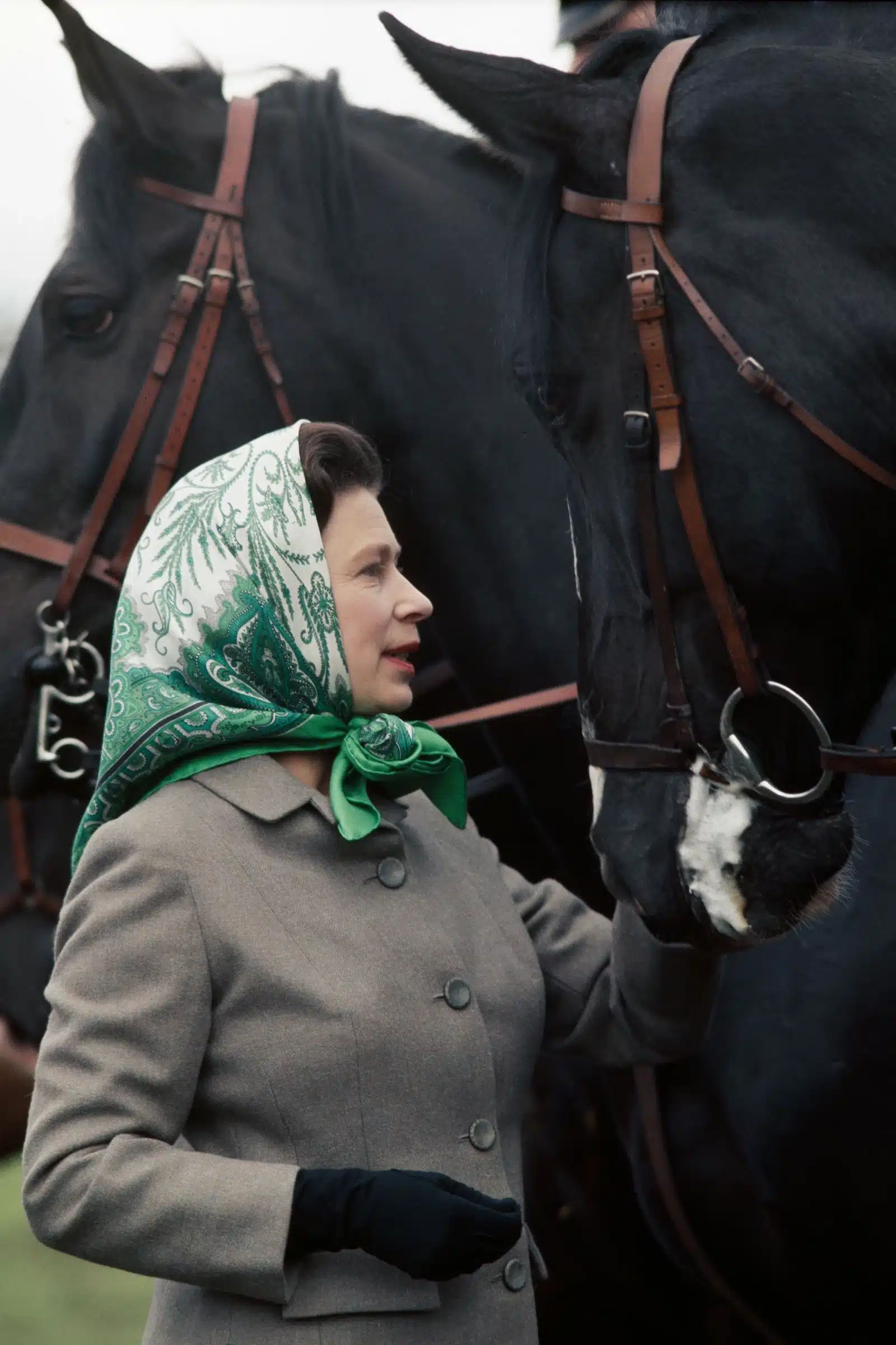 Королева Єлизавета ІІ. Tim Graham/Getty Images8