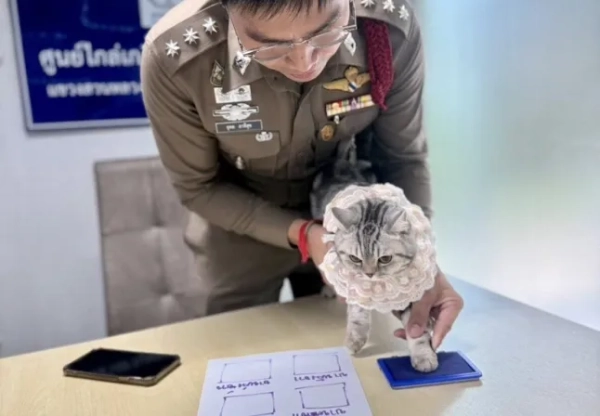 У Нуб Танг поліцейський знімає відбиток лапи