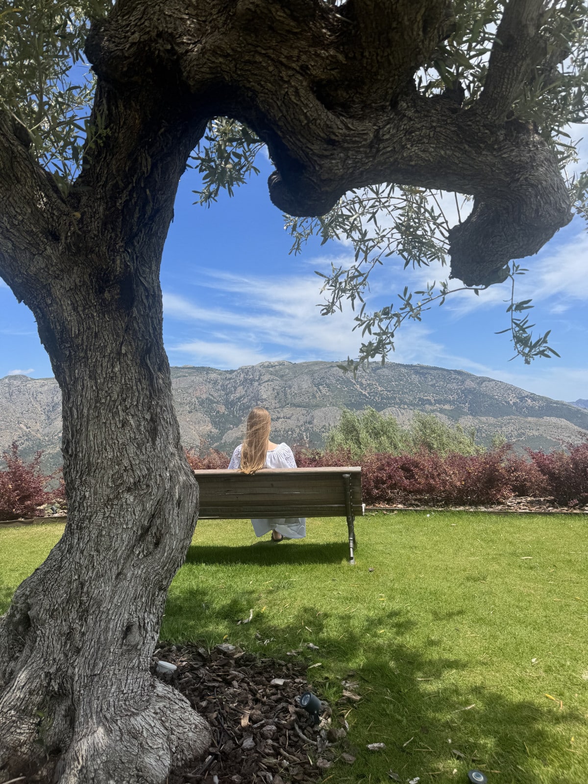 Відпочинок в Аліканте (Іспанія) 2025: що подивитися, де купатися і як дістатися21