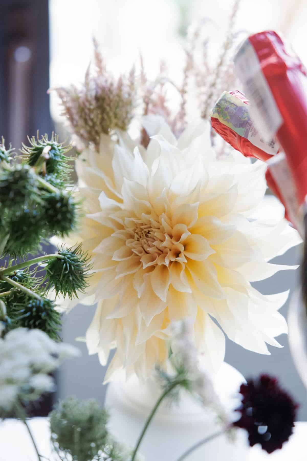 Як це було: «Літні читання» від Harper’s Bazaar70