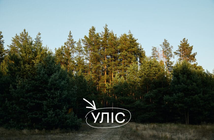 УЛІС відкрив подієвий простір, басейн просто неба і формат вечерь у лісі