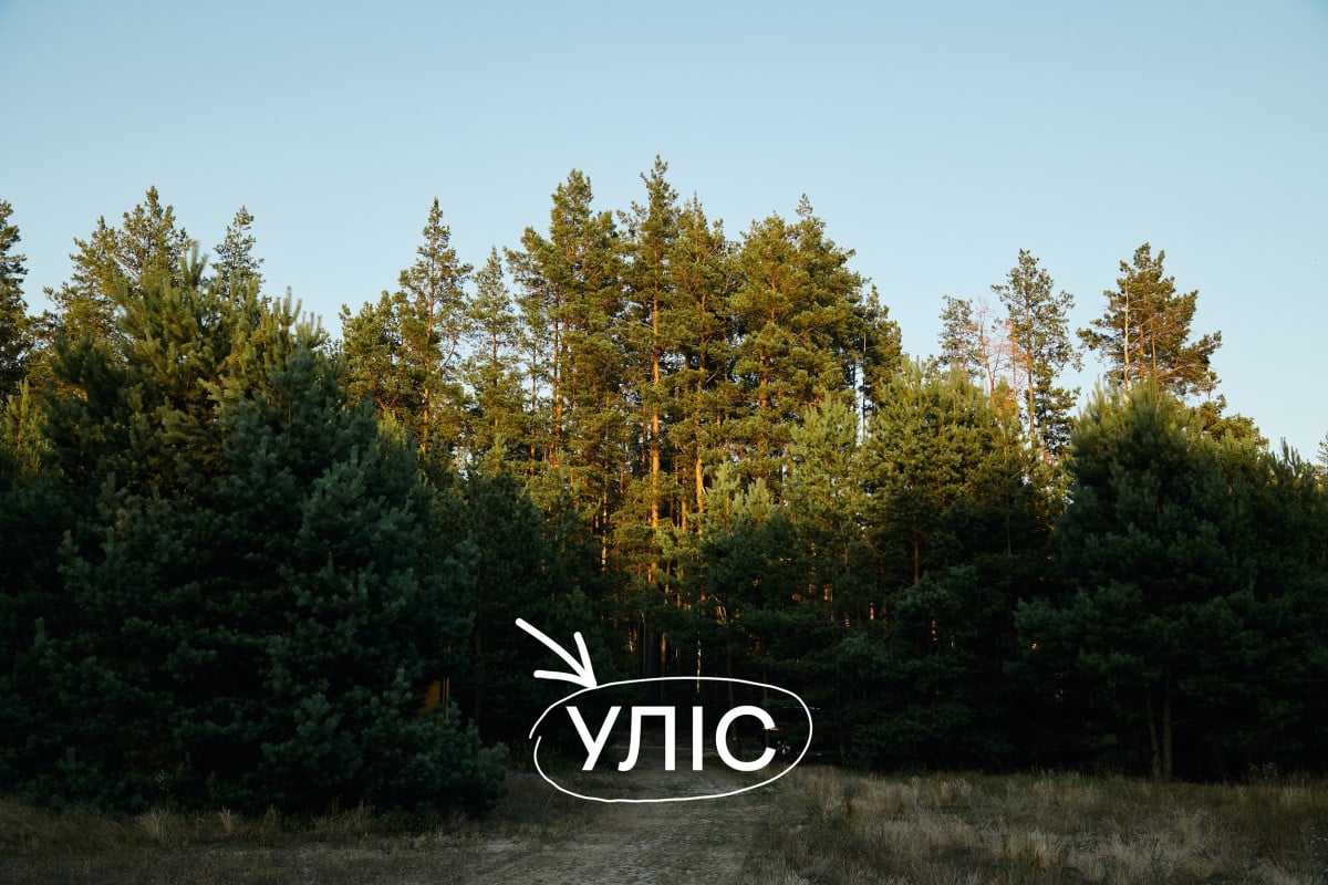 УЛІС відкрив подієвий простір, басейн просто неба і формат вечерь у лісі0