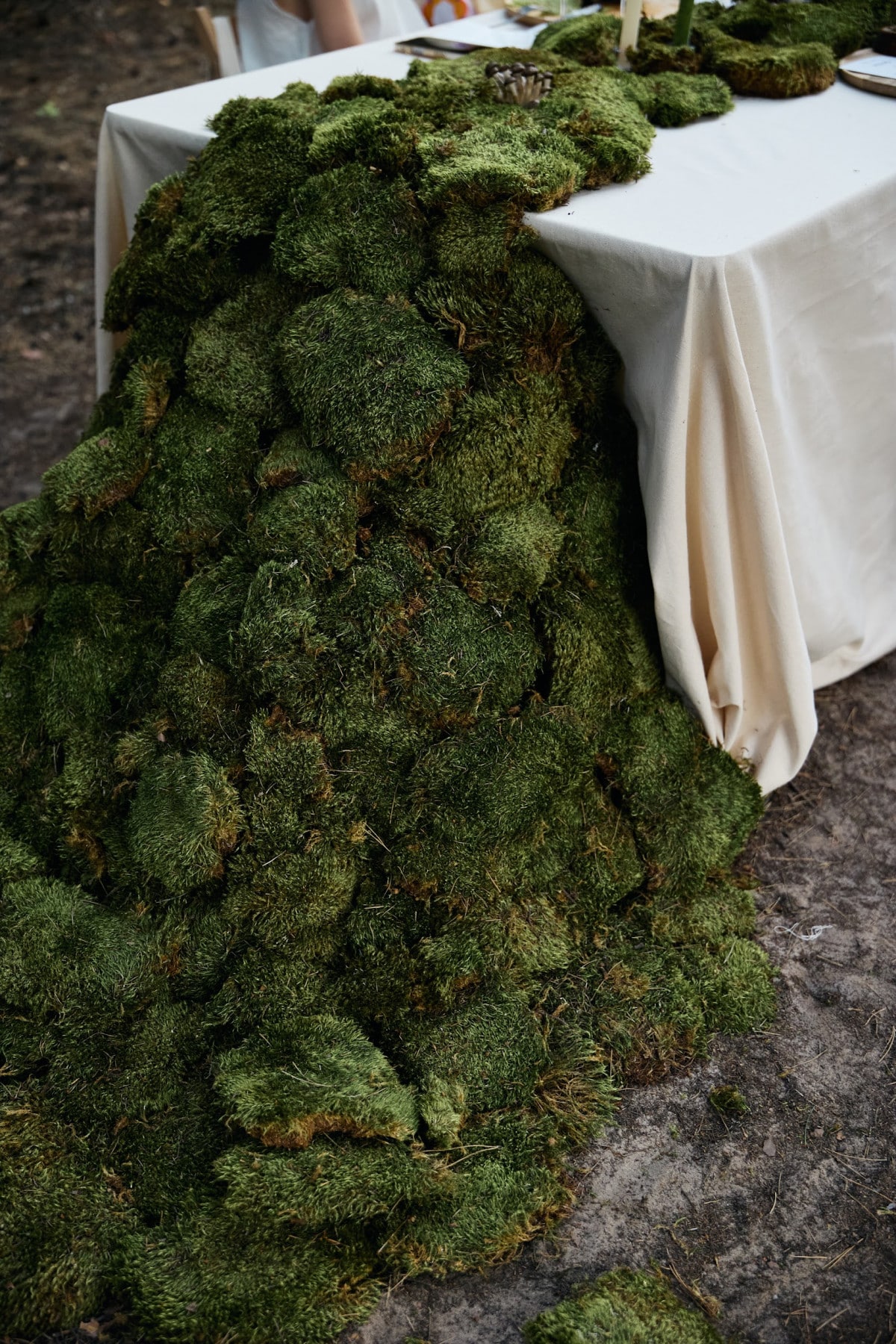 УЛІС відкрив подієвий простір, басейн просто неба і формат вечерь у лісі3