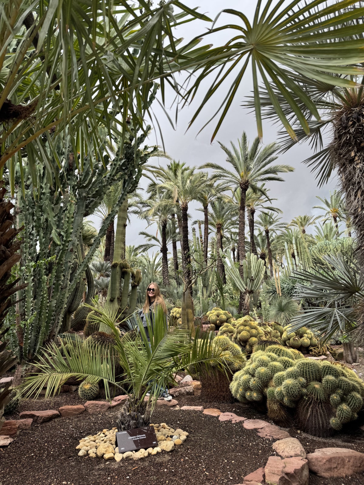 Відпочинок в Аліканте (Іспанія) 2025: що подивитися, де купатися і як дістатися17