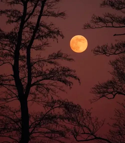 Пора змін: доленосні астрологічні явища 2026 року.