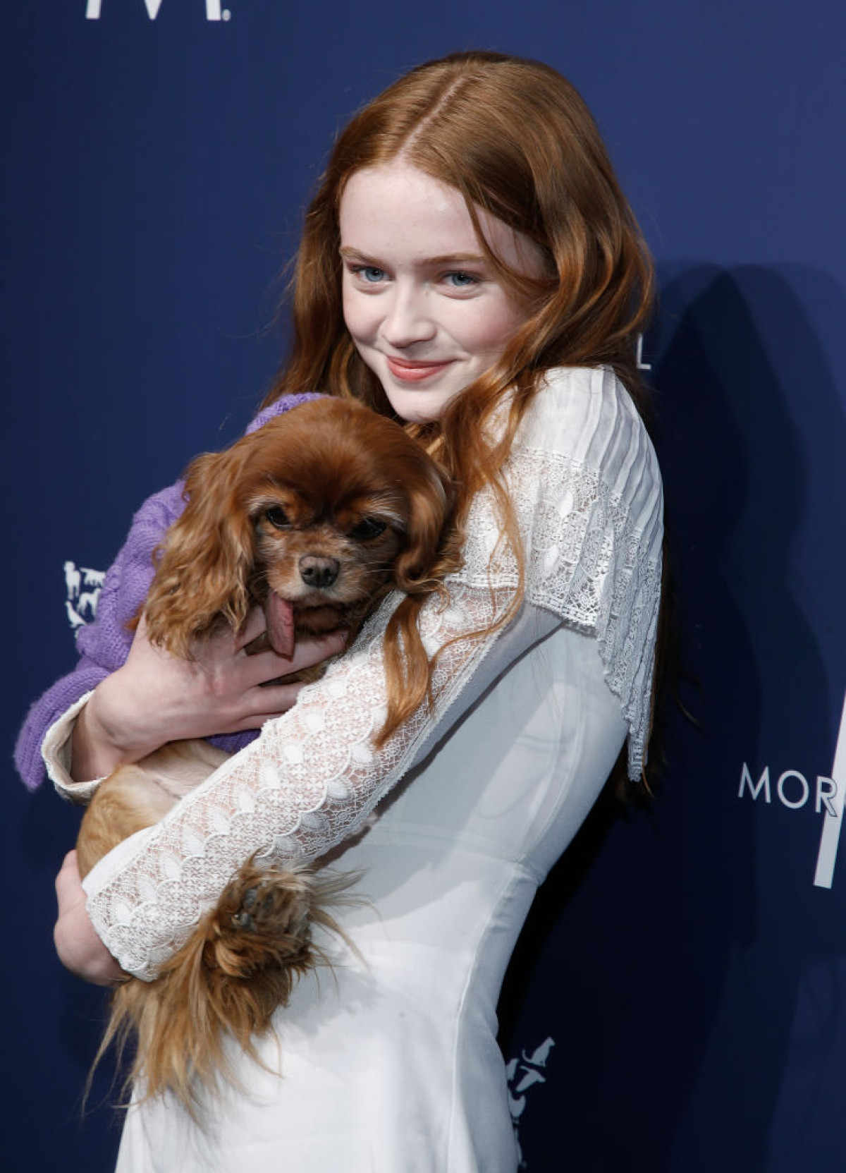 Актори "Дивних див": як змінилася їх зовнішність за десятиліття зйомок.
15