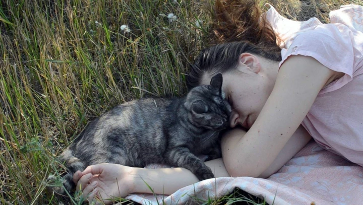 Десять художніх робіт про Донбас
7