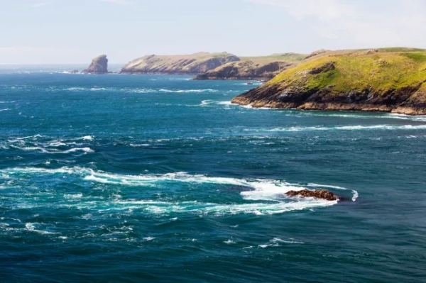 Вид на острів Скомер з Вултак-Пойнт, Пембрукшир, Уельс, Велика Британія, де шалені припливні перегони.