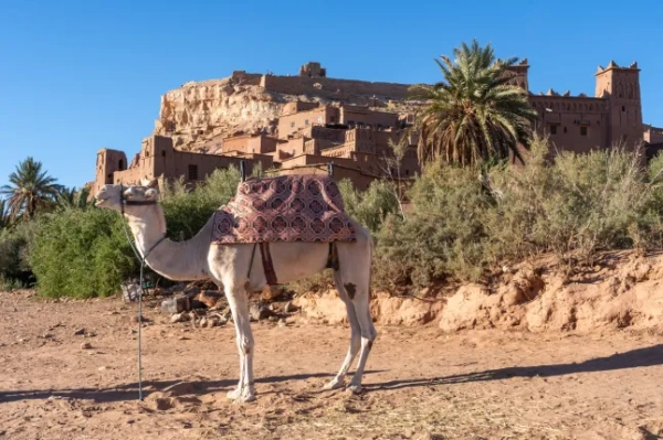 Дешеві пропозиції на відпочинок у популярних напрямках, зокрема в Греції та Нью-Йорку, можна придбати вже зараз.