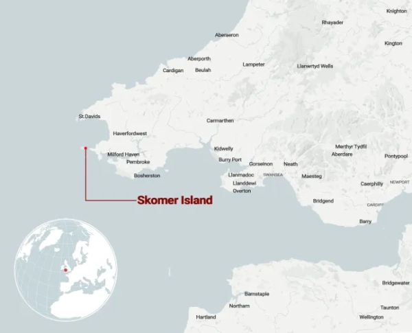 На карті показано розташування острова Скомер, біля узбережжя Пембрукширу в Уельсі.