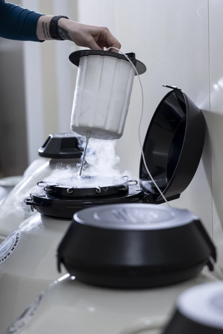 VOGUE UA: Завдання №3. Подбайте про репродуктивне здоров'я
5