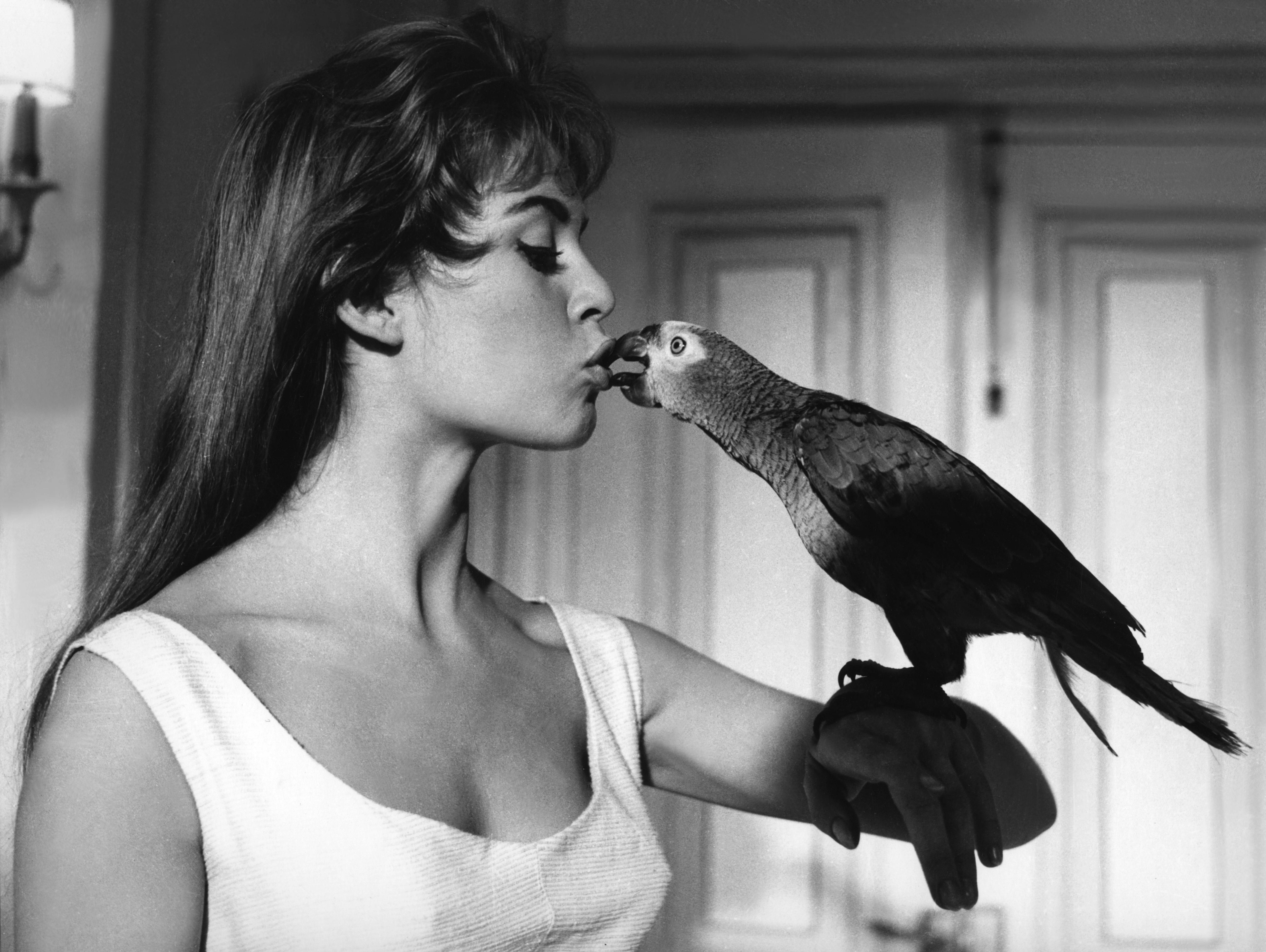 Відійшла у вічність ікона французького кінематографу Бріжит Бардо
28