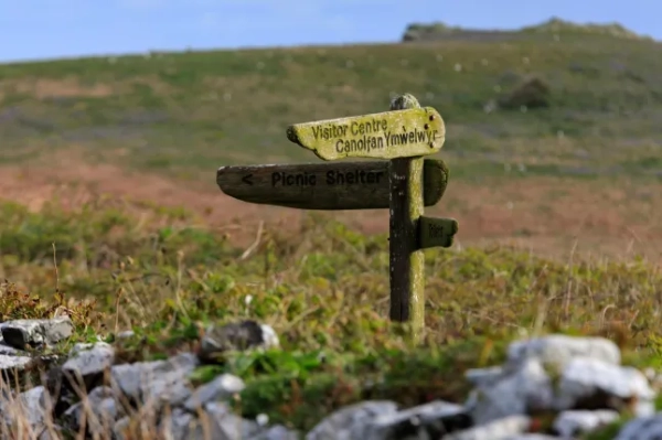 Острів Скомер, невеликий острів уздовж узбережжя Уельсу.