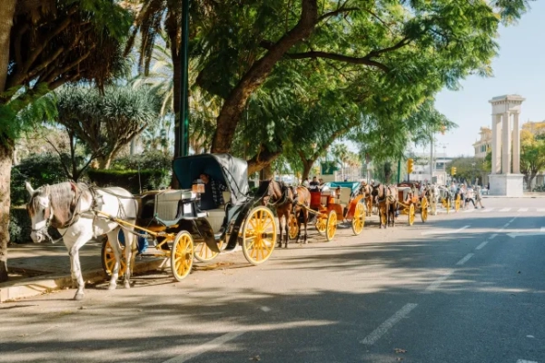 Малага, Андалусія, Іспанія - 26 лютого 2025 року: Кінна екіпажів вздовж вулиці чекає на туристів