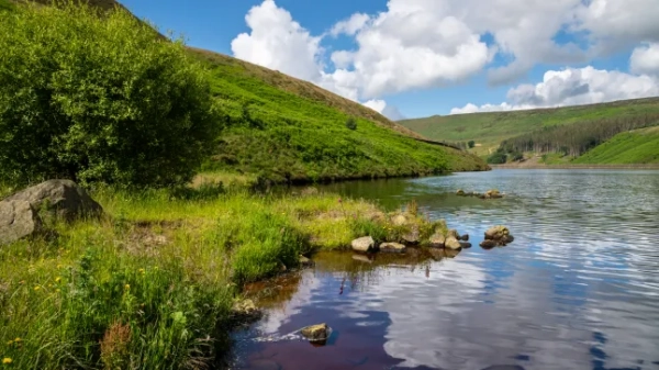 Водосховище Грінфілд влітку, Великий Манчестер, Англія