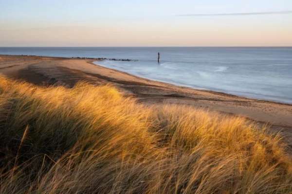 Прекрасне приморське село страждає від «жахливої» проблеми з фекаліями