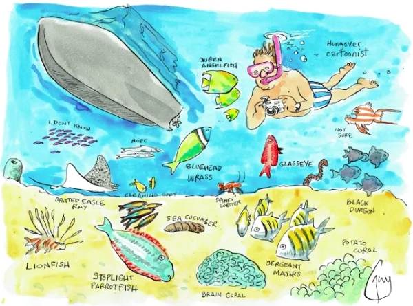 «Невибагливий» карибський острів, який, мабуть, є найприємнішим місцем на Землі