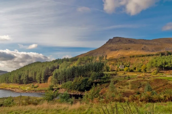 Вид на зелень через водосховище Давстоун у Седдлворті в напрямку пагорба Олдермена.