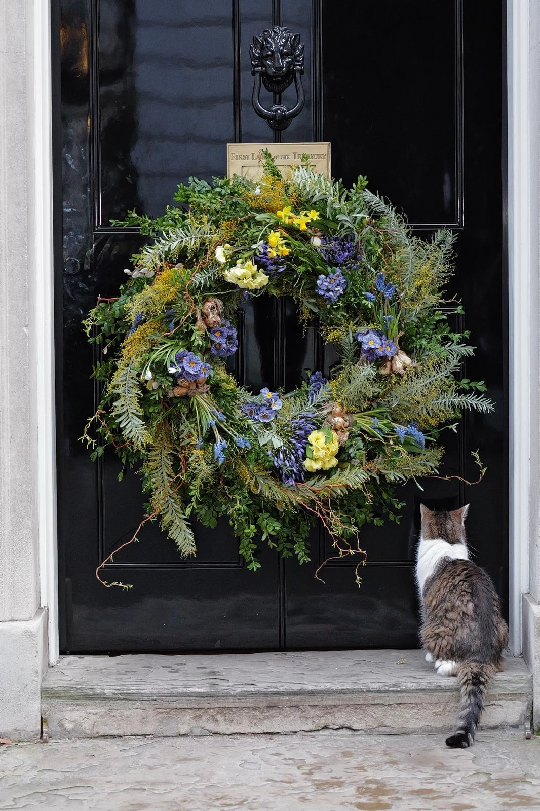 Лондонські двері, що найбільше запам'ятовуються, отримали вінок із верби на підтримку України
1