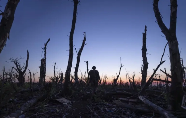Мстислава Чернова вшановано нагородою Пола Селвіна WGA 2026…