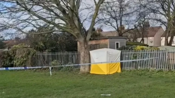 Намет судово-медичної експертизи стоїть на місці ймовірного сексуального нападу в Коттонс-парку.