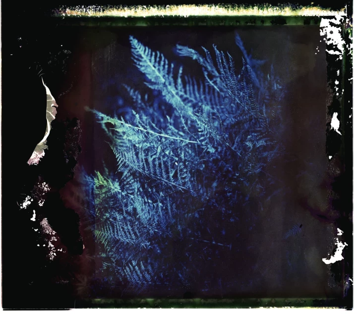 Київська фотовиставка "Солоні роси": чари Карпат, жіноча воля та чуттєвість.
1