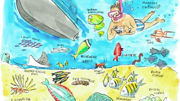 Малюнок Гая Венейблса, на якому він пірнає з маскою та трубкою серед різноманітних риб та морських істот на Тобаго.