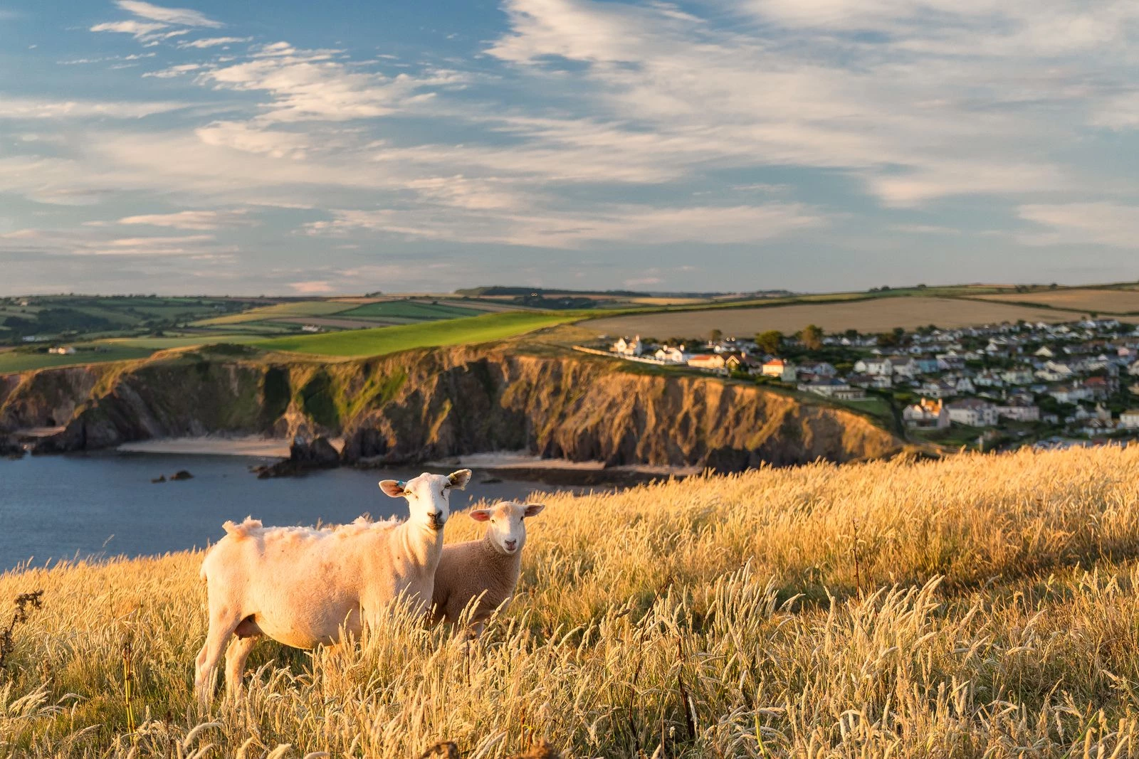 Топ-12 напрямків для мандрівок у 2026.
9