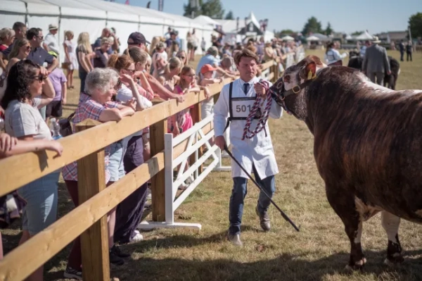 166-та виставка у Великому Йоркширі