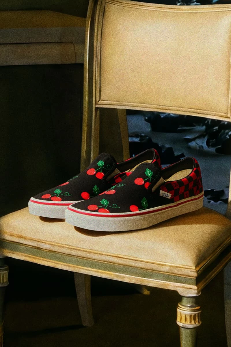 Valentino x Vans3