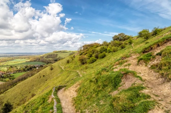 Вид вздовж Диявольської дамби на Саут-Даунс-Вей, Сассекс, Англія, Велика Британія.