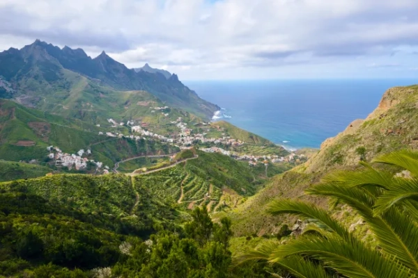 Вид з висоти пташиного польоту на пишні зелені гори Анага в Таганана, Тенерифе.