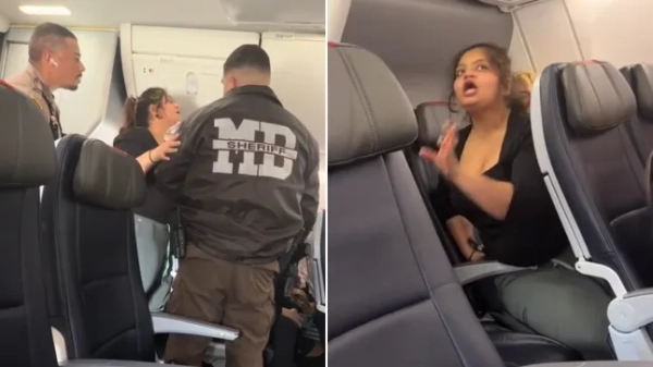 “Barebeater” зняли з рейсу American Airlines