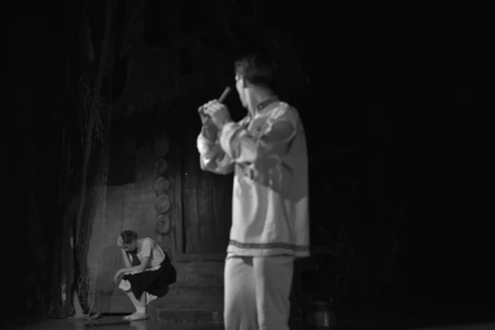 "Лісова пісня": ключові факти про славетний український балет.
5