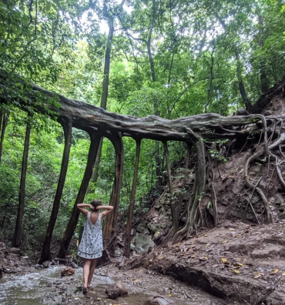 Письменниця Лідія Свінско гуляє лісом у Коста-Риці.