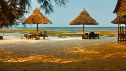 Головна 185 Реальна істина про схуднення та щастя, яку я збагнула, і про яку варто знати кожній.