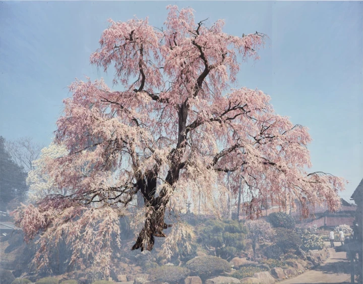 Топ-6 вартих уваги київських експозицій у березні
2