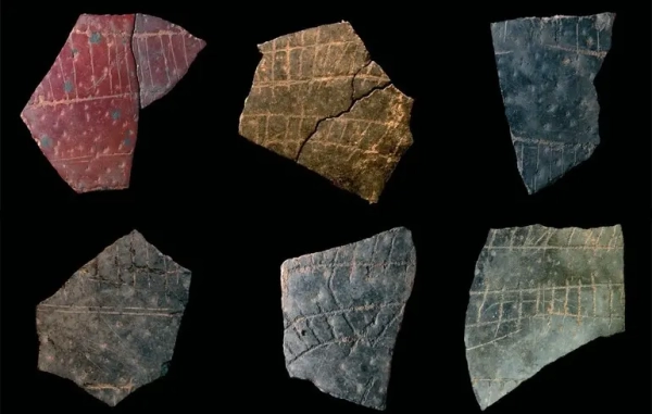 Головна 220 Зародження абстракції: 60 000-літні знаки на страусиних яйцях, звіт про наукові відкриття