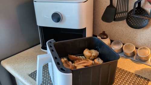 Духовка з конвекцією чи аерогриль: чи варто уникати придбання непотрібного пластику?