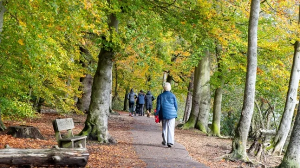 Лісова стежка, оточена деревами та осіннім листям, вздовж якої йдуть люди, а ліворуч стоїть дерев'яна лавка.