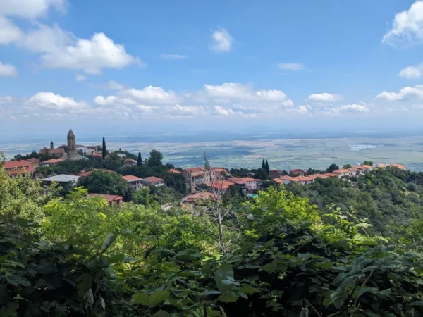 Вид на будинки в грузинській сільській місцевості.