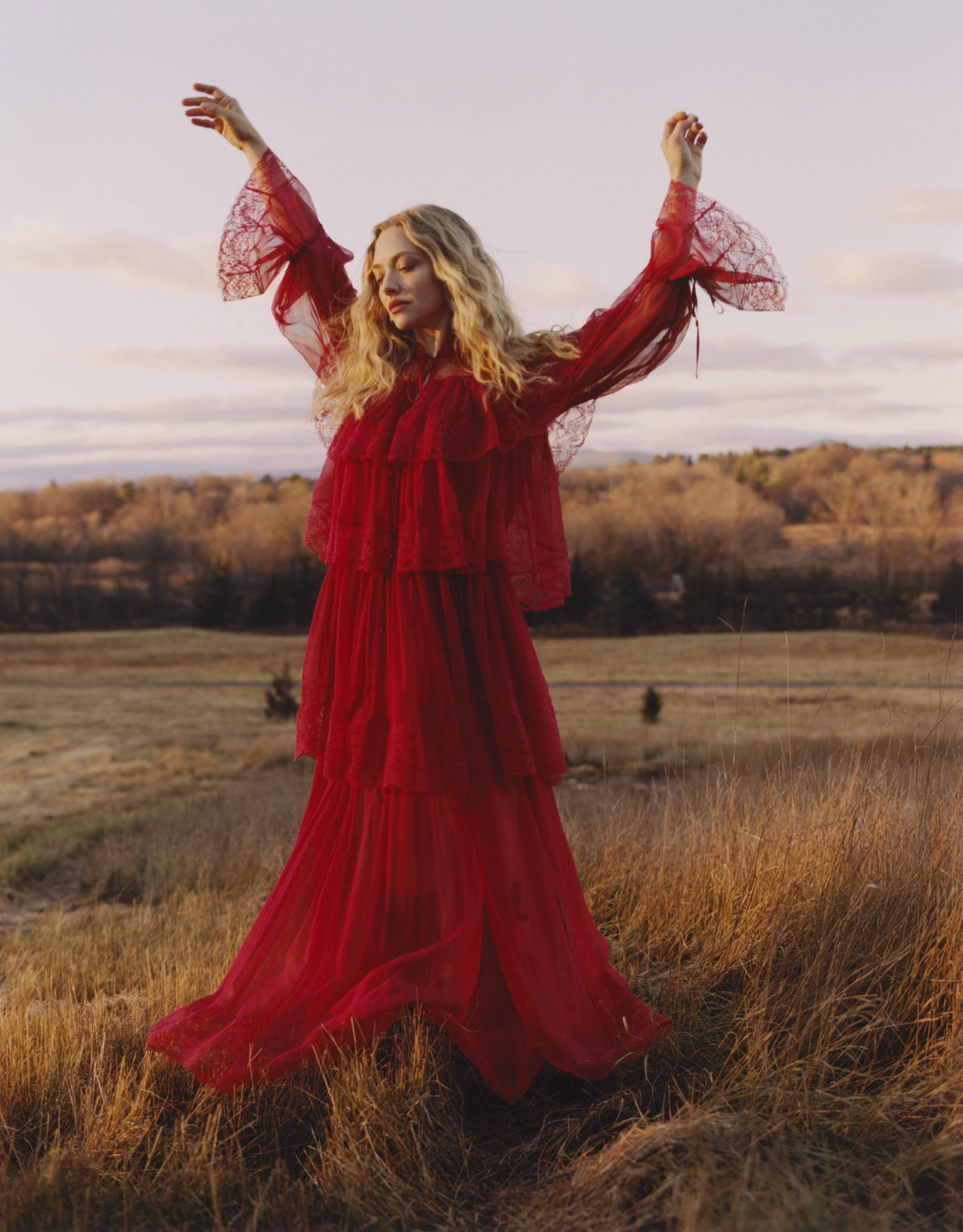 Прагнучи спокою: розмова з акторкою Амандою Сейфрід.
0